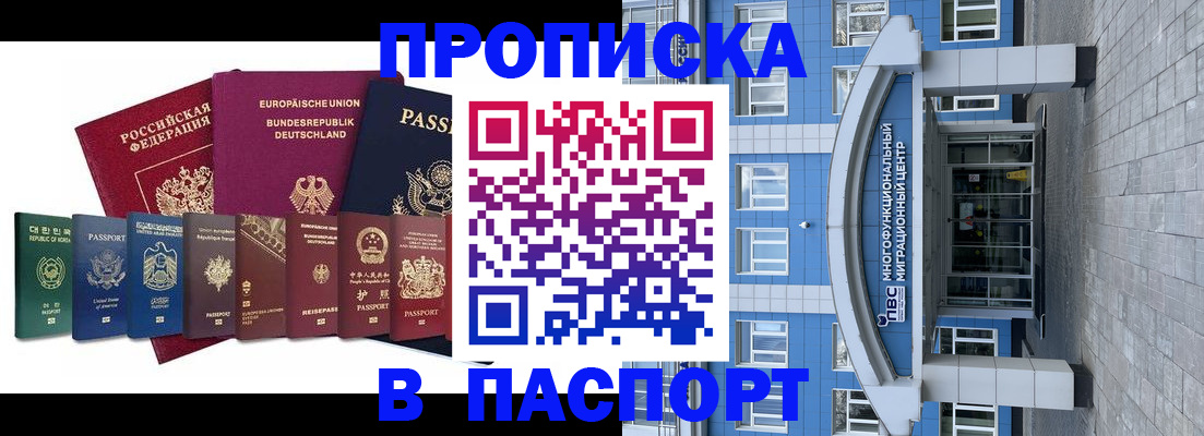 прописка штамп в Камышине